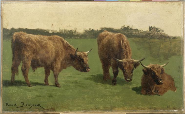 Trois études d'un boeuf roux dans un pré