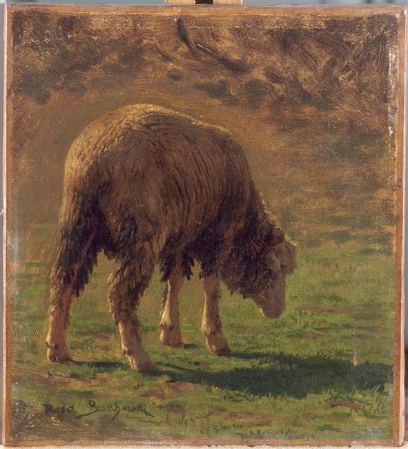 Mouton paissant