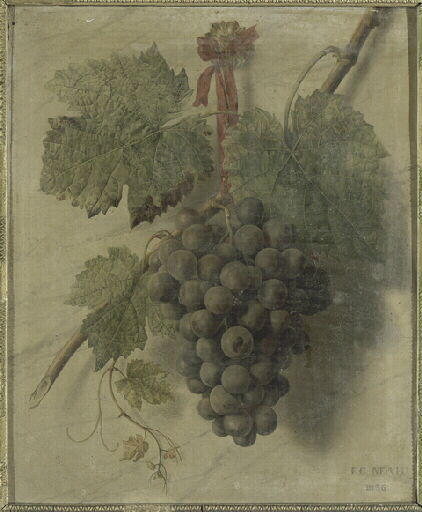 Une grappe de raisin pendue à une muraille