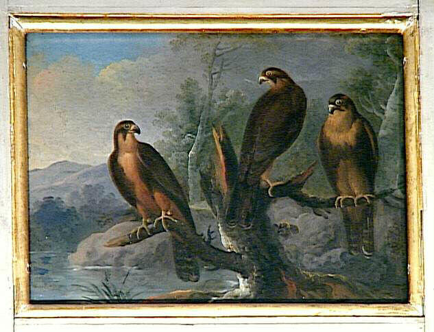 Trois petits faucons