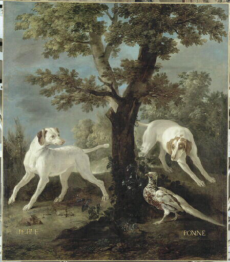 Perle et Ponne, chiennes de la meute de Louis XV