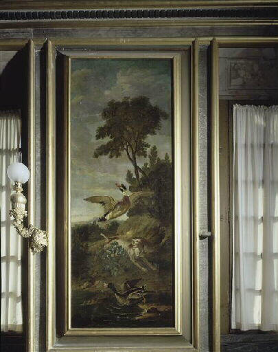 Chien-barbet chassant des canards sauvages