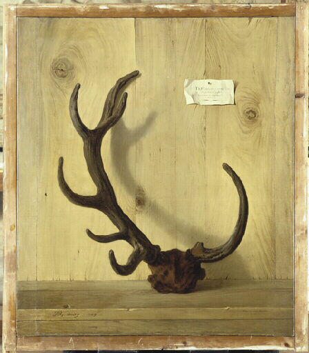 Bois bizarre d'un cerf pris par le Roi, dans la forêt de Compiègne le 10 juillet 1749 (sur un fond de planches)