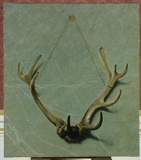 Bois d'un cerf pris à Compiègne en 1752 (sur un fond imitant le marbre)