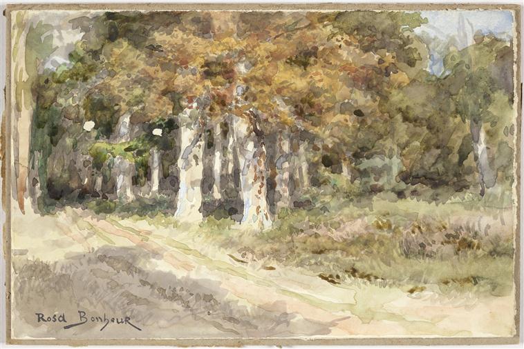 Chemin à l'orée d'un bois