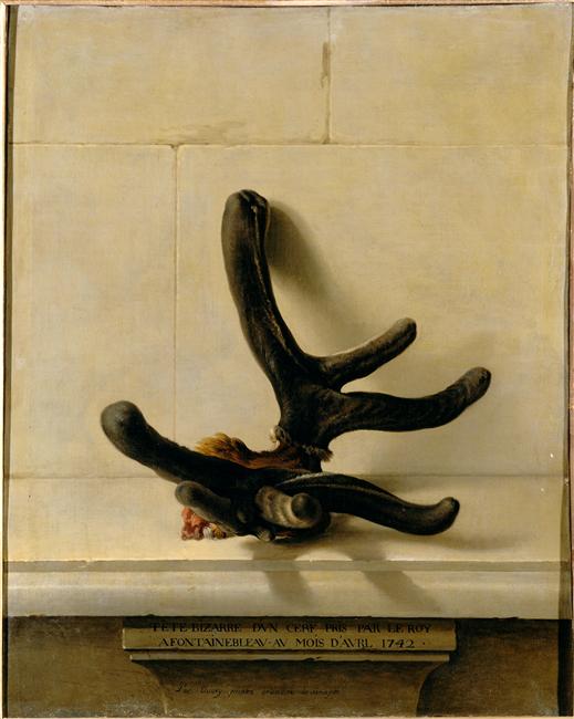 Bois bizarre d'un cerf pris par le Roi, à Fontainebleau au mois d'Avril 1742