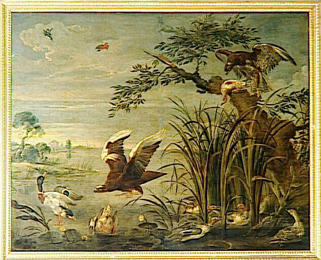 Aigle s'abattant sur des canards