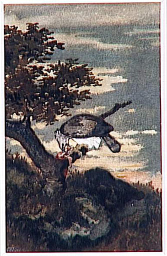 Gypaète sur un arbre