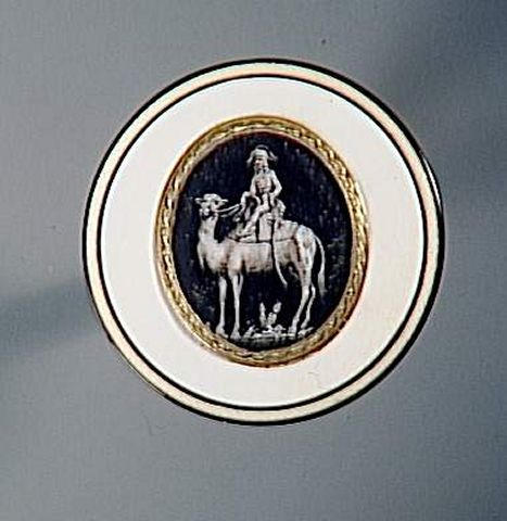 Bonaparte assis sur un dromadaire