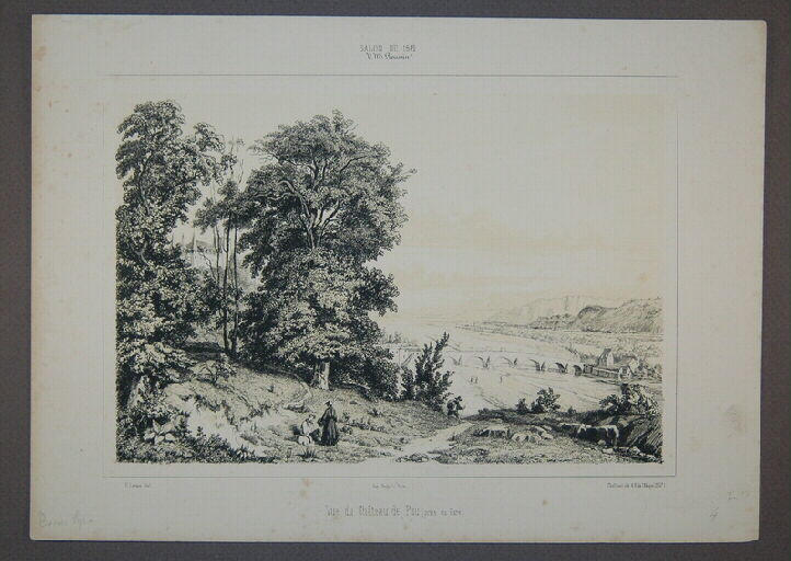 Vue du Château de Pau, prise du parc.