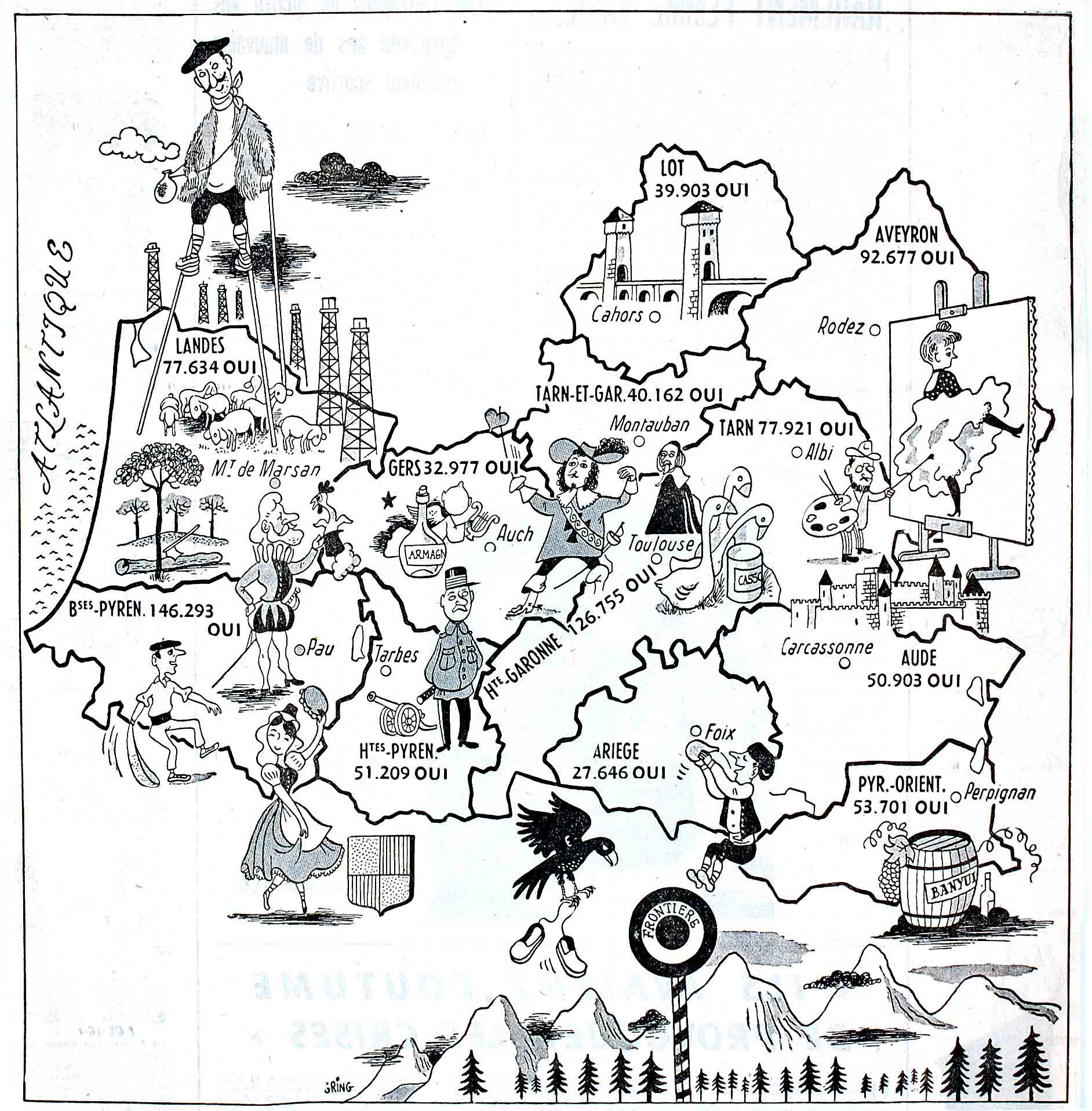 Les oies dans le Sud-Ouest