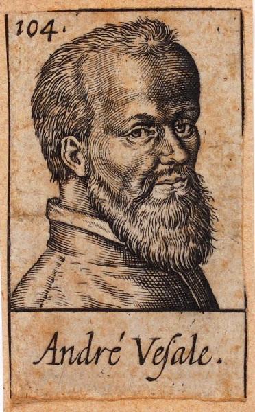 Portraits de plusieurs hommes illustres (104) : André Vesale