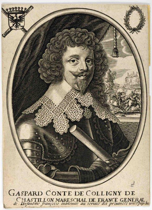 Gaspard de Coligny, Amiral de France