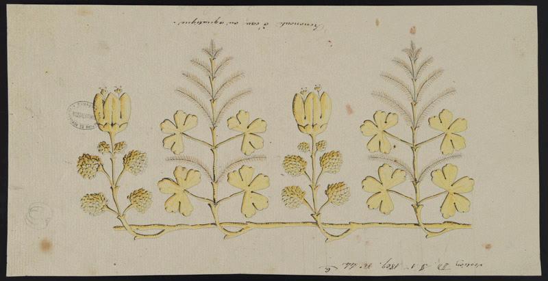 Eléments décoratifs [Ornement, frise fleurs]