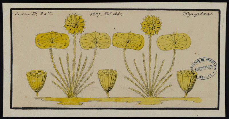 Eléments décoratifs [Ornement, frise fleurs]
