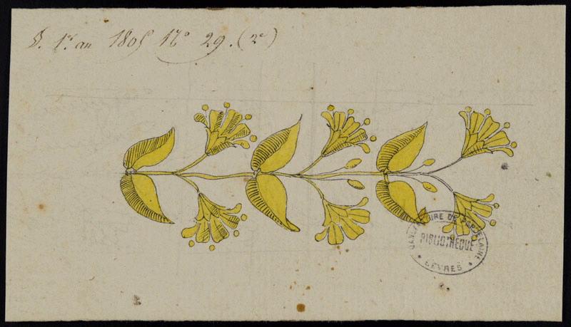 Eléments décoratifs [Ornement, frise fleurs]