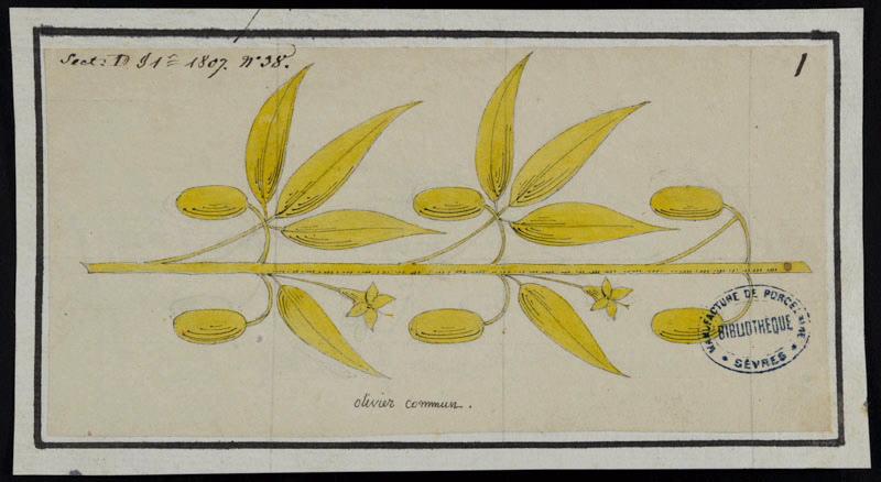 Eléments décoratifs [Ornement, frise fleurs]
