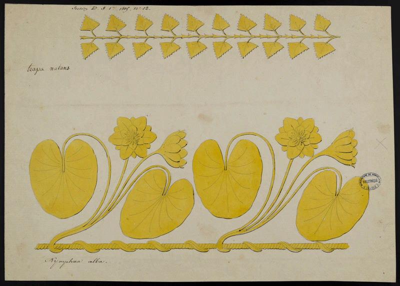 Eléments décoratifs [Ornement, frise fleurs]