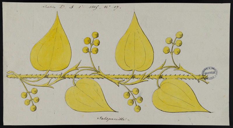 Eléments décoratifs [Ornement, frise fleurs]