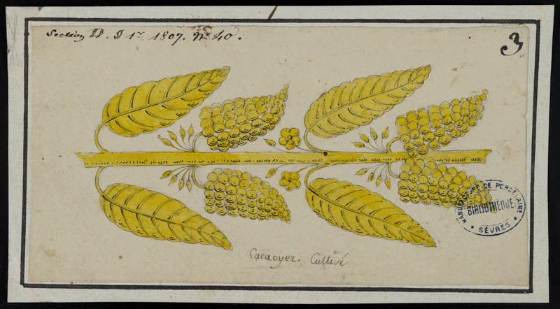 Eléments décoratifs [Ornement, frise fleurs]