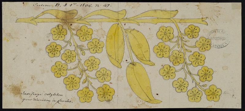 Eléments décoratifs [Ornement, frise fleurs]