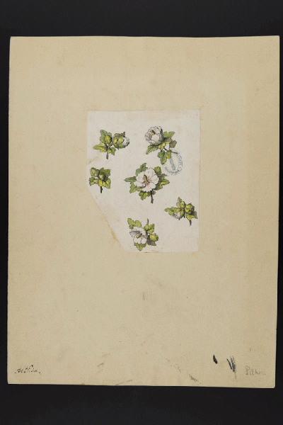 Elément décoratif [Fleurs]