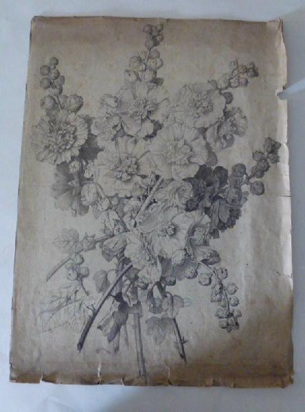 Elément décoratif [Fleurs]