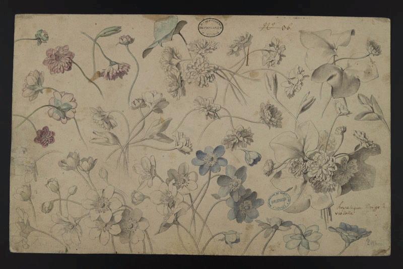 Elément décoratif [Fleurs]