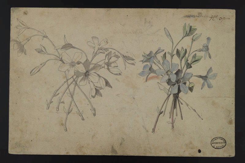 Elément décoratif [Fleurs]