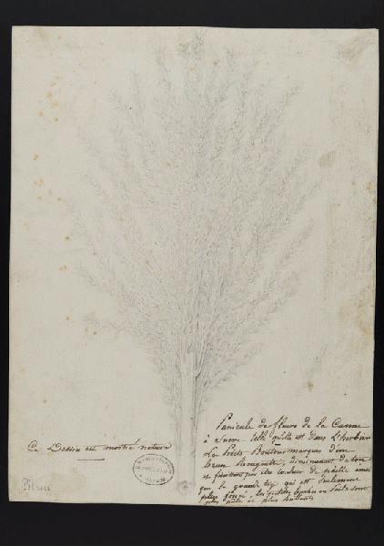 Elément décoratif [Fleurs]