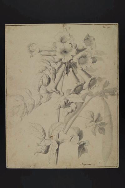 Elément décoratif [Fleurs]