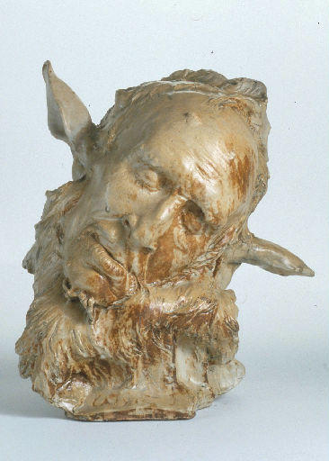 Tête de faune