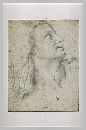 Tête de jeune femme, de profil, tournée vers la droite, le regard levé