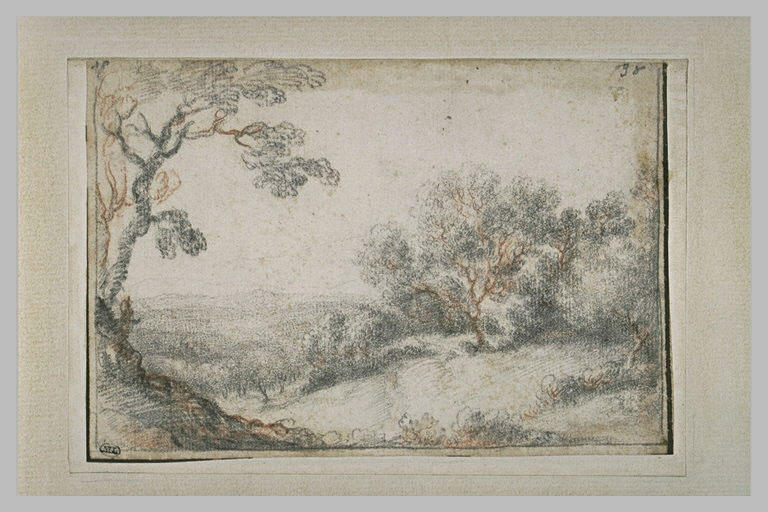 Paysage boisé