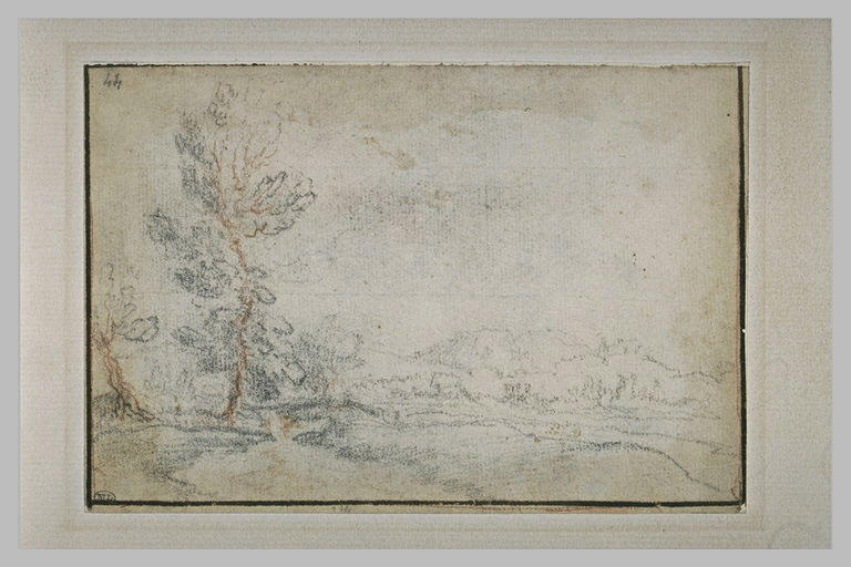 Paysage de collines boisées