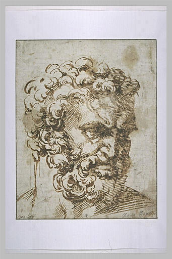 Tête d'homme barbu, vu de trois quarts, tourné vers la droite : Hercule