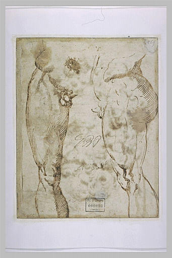 Deux études de jambes masculines, une vue de face et l'autre de profil
