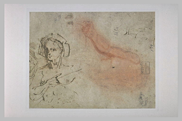 Femme coiffée, vue à mi corps ; un bras