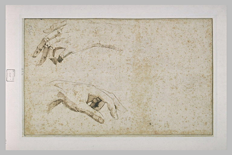 Deux études de mains