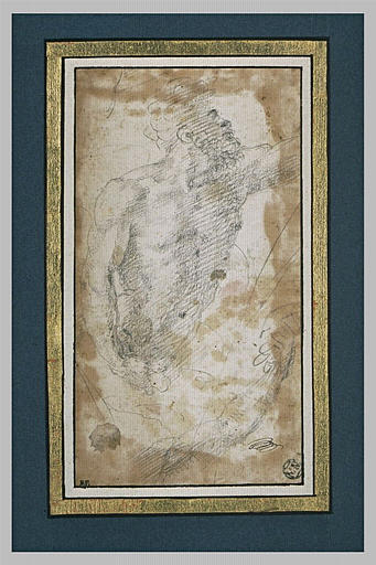 Homme nu, vu à mi-corps, la tête levée, tendu vers la droite