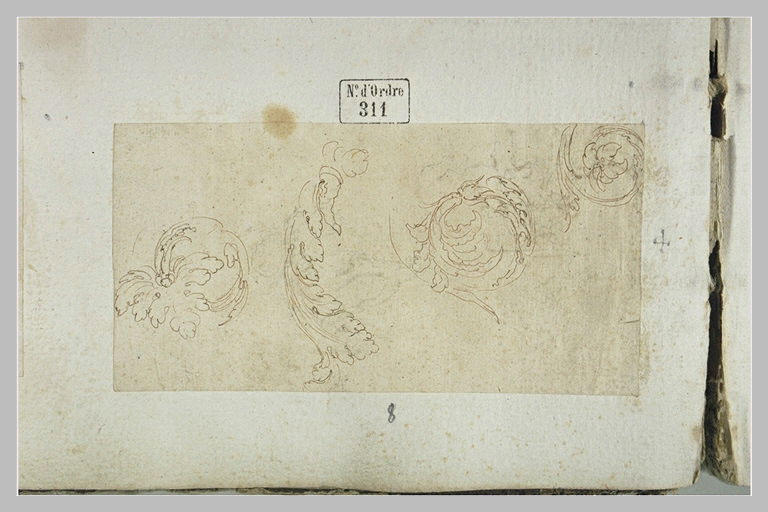 Quatre études des rinceaux d'acanthe
