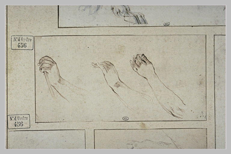 Trois études de bras