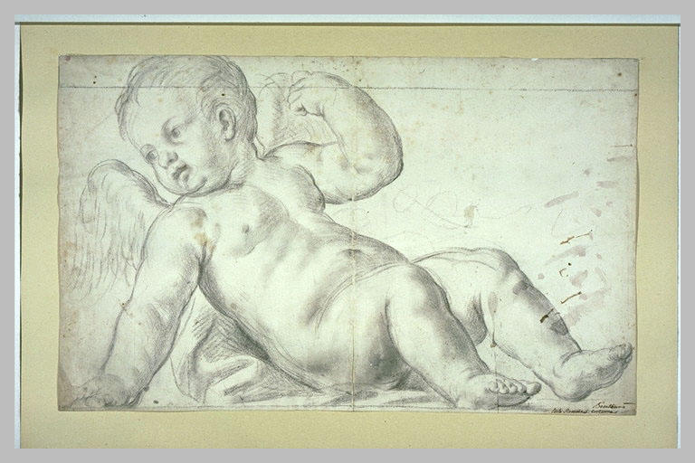 Un putto ou un angelot appuyé sur son bras droit