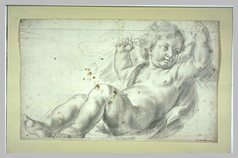 Un putto ou un angelot à demi-couché et tenant des rênes