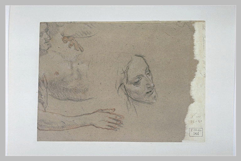 Demi figure allongée et reprise de la tête