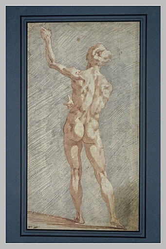 Homme nu debout, de dos, le bras gauche levé