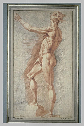 Homme nu, debout, de profil, se détournant vers l'arrière, bras gauche levé