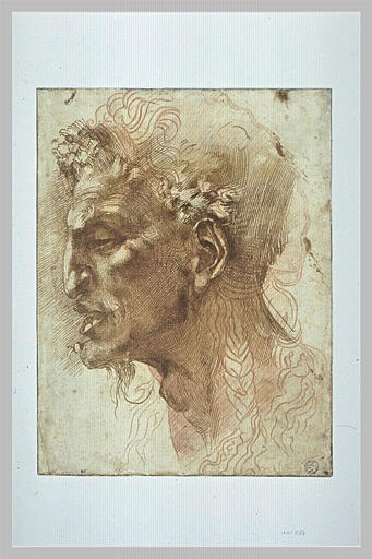 Tête de satyre, de profil