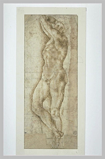 Etude d'homme nu, les bras levés