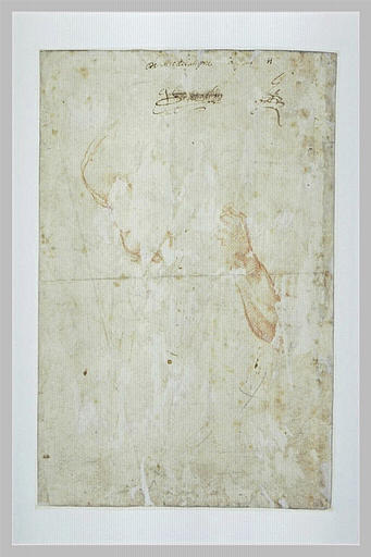 Deux études de bras